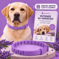 SerenePaws™ Collar Calmante Natural con Feromonas