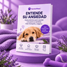 Ebook - Entiende su Ansiedad